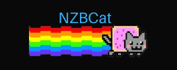 NZBCat logo