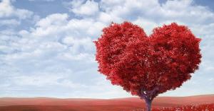 Ofertas especiais de dia dos namorados Ofertas especiais de dia dos namorados