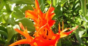 Spring Promoções Spring Promoções